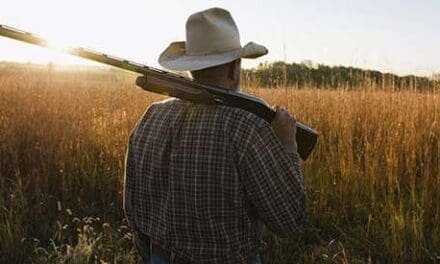 Homesteading After 60: What You Need To Know