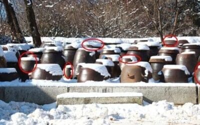 What Foods Can You Bury Underground For Winter?