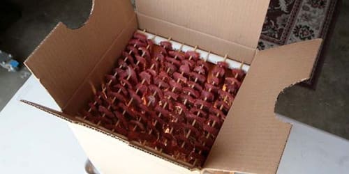 The 10-Dollar Jerky Maker