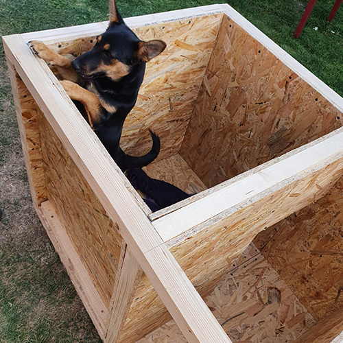Easy Diy Winter Doghouse Self, How To Make Outdoor Dog House Warmer
