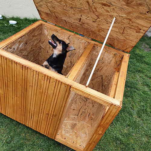 Easy Diy Winter Doghouse Self, How To Make Outdoor Dog Kennel Warm