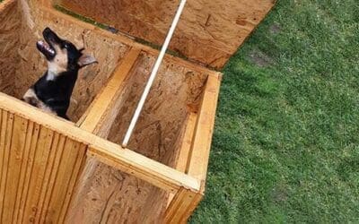 Easy DIY Winter Doghouse