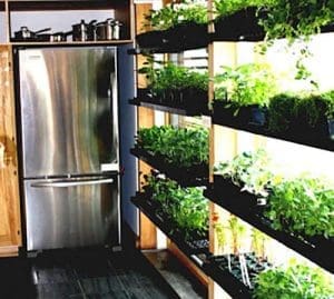 How To Homestead In The City - Self Sufficient Projects