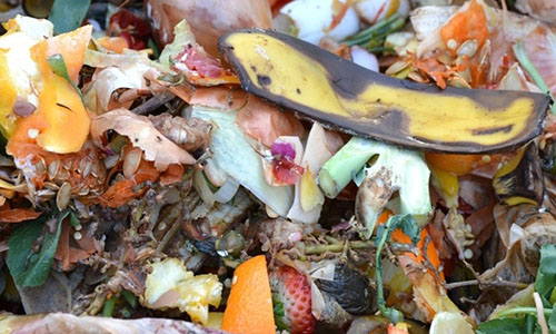 the ultimate guide to composting