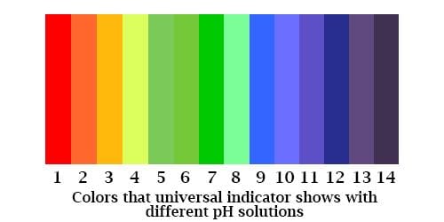 How to Adjust the pH in Soil and Water for Abundant Harvests