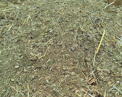 Boost Your Soil Quality with this Compost