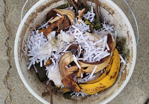 Boost Your Soil Quality with this Compost