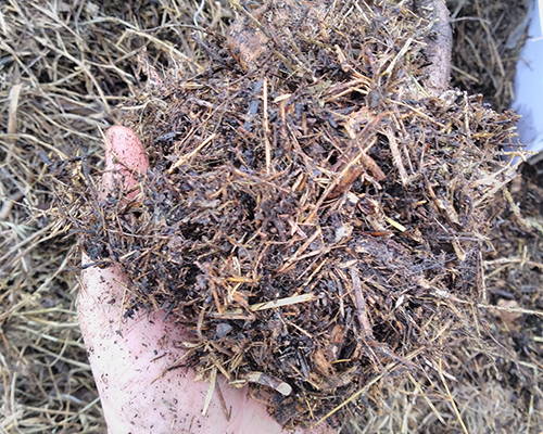 Boost Your Soil Quality with this Compost