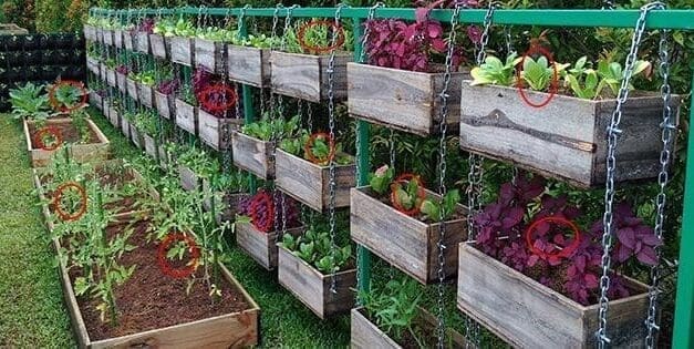 The Best Vegetables To Grow To Turn A Profit