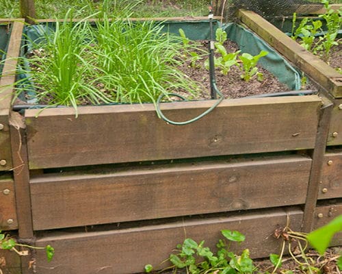 example of a raised bed