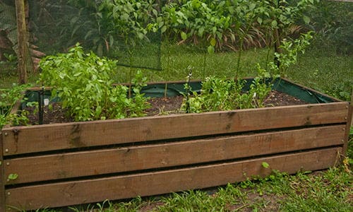 DIY Raised Beds For Your Backyard