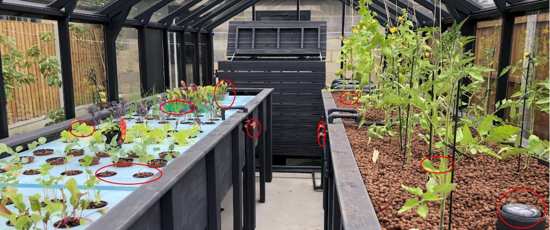 DIY Year Round Self-Sustaining Garden