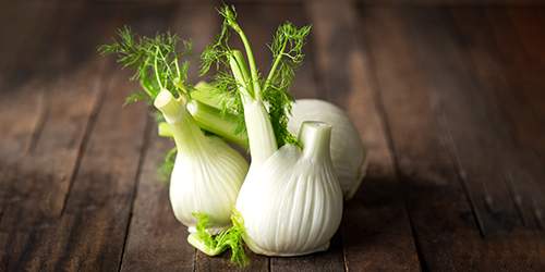 10 Cooking Herbs You Should Grow In Your Garden - fennel