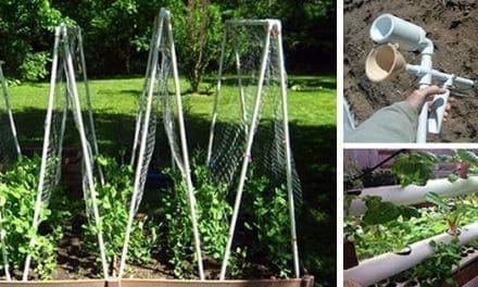 36 PVC DIY Projects for Your Homestead