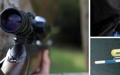 6 Best Guns To Have Around Your Homestead