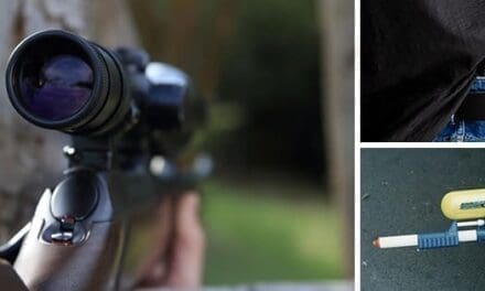 6 Best Guns To Have Around Your Homestead