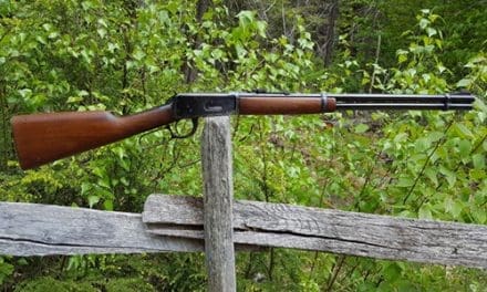 6 Best Guns To Have Around Your Homestead - Self Sufficient Projects