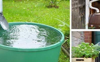 Is It Legal To Harvest Rainwater In Your State?