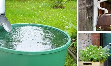 Is It Legal To Harvest Rainwater In Your State?