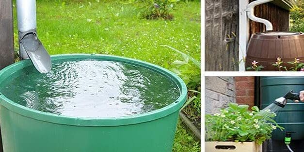 Is It Legal To Harvest Rainwater In Your State?