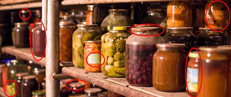 11 Food Storage Myths