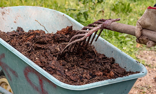 15 Gardening Mistakes You’re Making Right Now