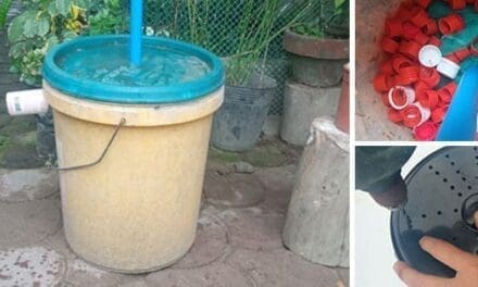 DIY Water Filter
