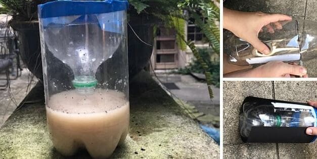 DIY Cheap Mosquito Trap