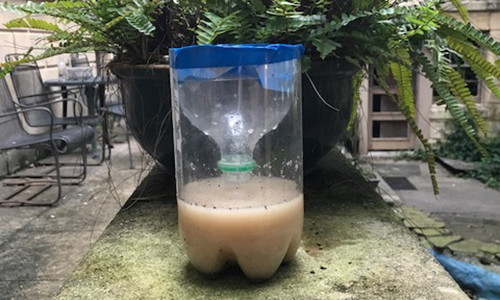 DIY Cheap Mosquito Trap