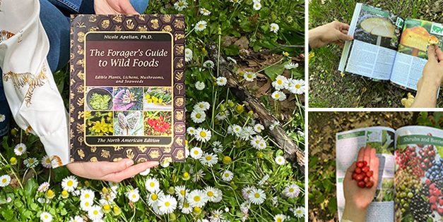 The Forager’s Guide To Wild Foods: Book Review