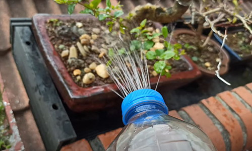 ingenious plastic bottles