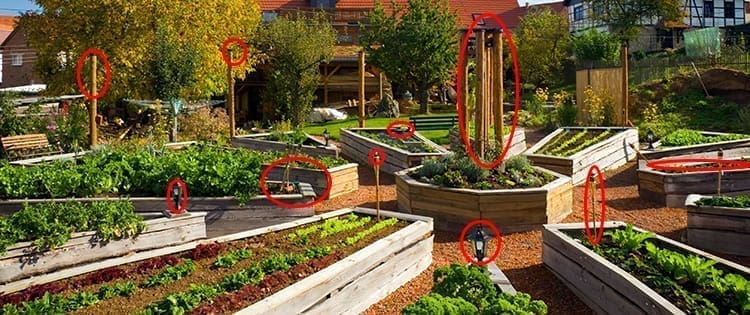 10 Ways to Sow Revolution in Your Backyard (and Why You MUST Go to Battle)