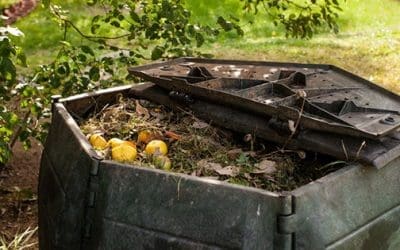 39 Items You Can Compost