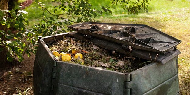 39 Items You Can Compost