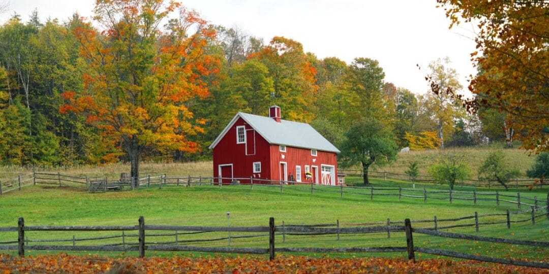 Does Government Still Have Power Over You If You’re Off The Grid?
