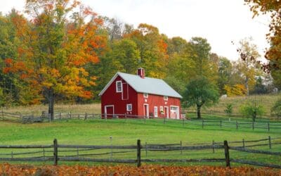 Does Government Still Have Power Over You If You’re Off The Grid?