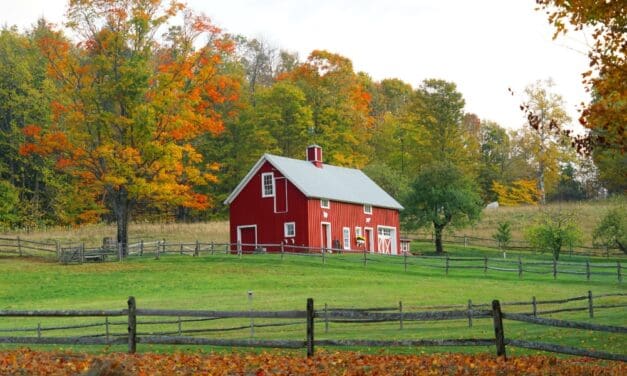 Does Government Still Have Power Over You If You’re Off The Grid?