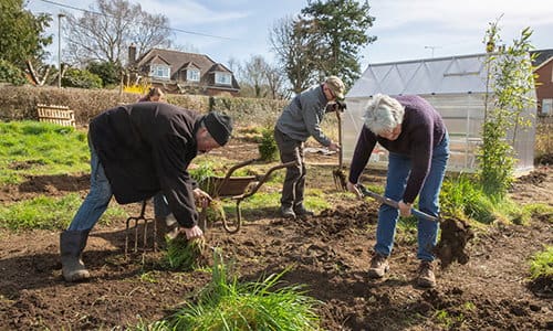 Are You A Community Member Or A Lone Wolf? - Self Sufficient Projects