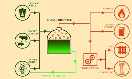 A Homesteader’s Guide to Biogas as an Alternative Fuel