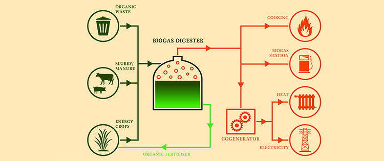 A Homesteader’s Guide to Biogas as an Alternative Fuel