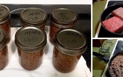 Recipes I Made From The Lost Super Foods Book: Canned Hamburger Meat