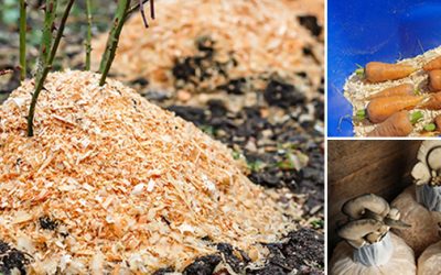 40 Uses For Sawdust Around Your Homestead