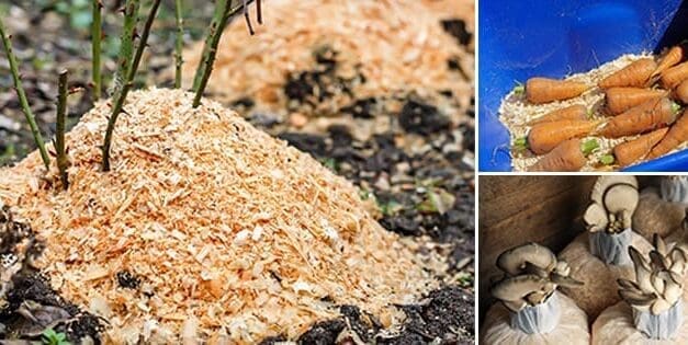 40 Uses For Sawdust Around Your Homestead