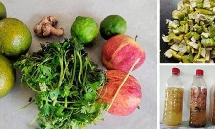 DIY Cheap Bio Enzyme Solution For Home Cleaning