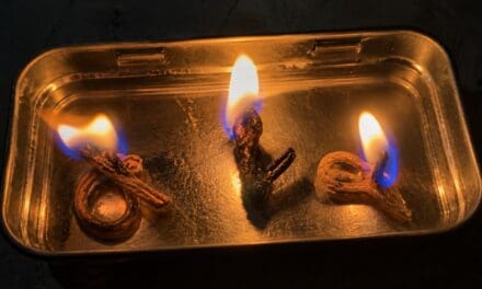 An Emergency Slush Lamp Hack Using a Torch Plant Leaf