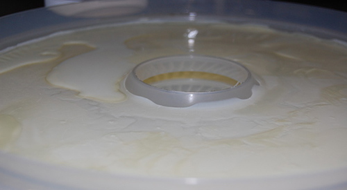 How To Dehydrate Milk for Long Term Storage