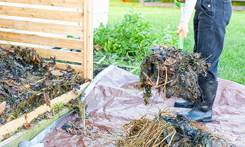 10 compost mistakes