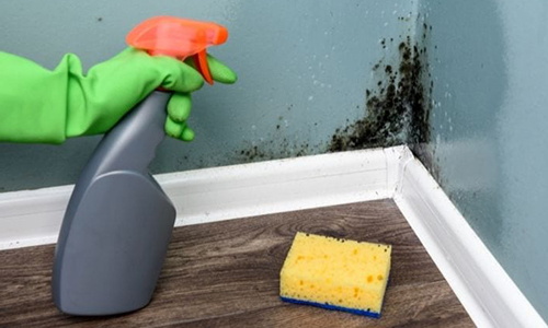 6 Simple Ways To Naturally Remove Mold