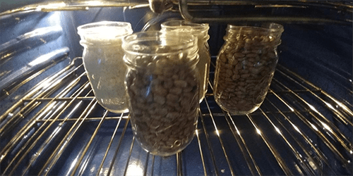 how-to-dry-can-beans-and-rice-for-20-years-shelf-life-self