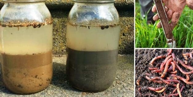 How to Prepare Your Soil For Your Spring Garden